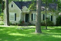 handling mold problems in your home