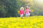 Great Parks in Lower Merion Township